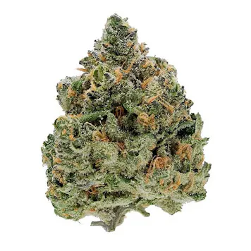 Photo of Mango Cookies by Pearl Pharma