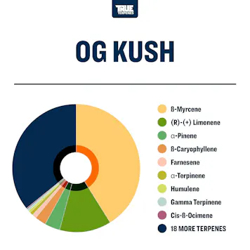 Photo of OG Kush Profile Strain
