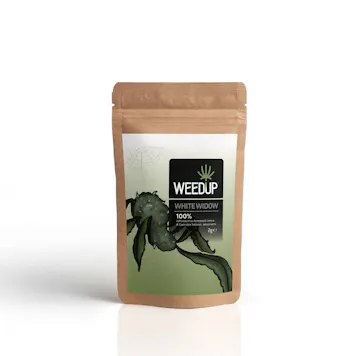 Photo of White Widow