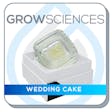 Product image for Wedding Cake Live Hash Rosin Fresh Press (1g)