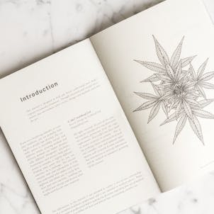 Photo of The Patient Journal: A Medical Cannabis Companion