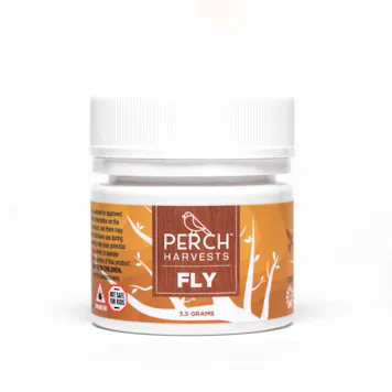 Photo of Pangaea | FLY