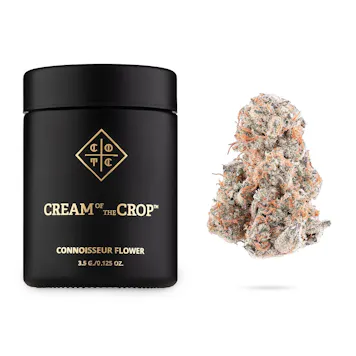 Photo of Machiavelli | 3.5g