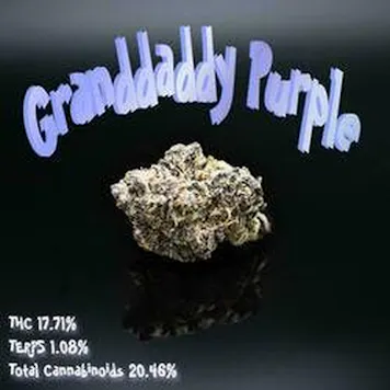 Photo of PhD - Granddaddy Purple Flower - 17.71% THC
