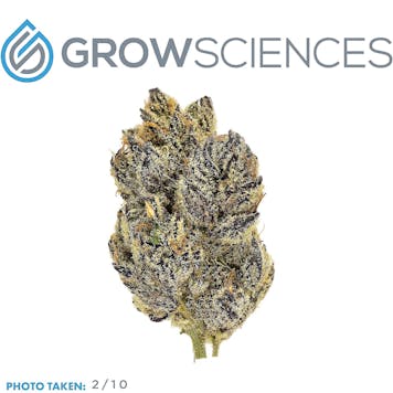 Photo of White Truffle (3.7)