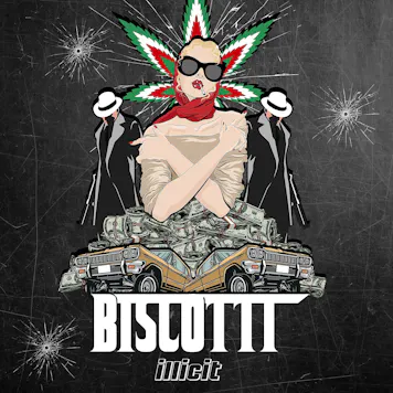 Photo of Biscotti 28G Intros Flower