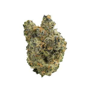 Photo of Candy Store Premium Flower