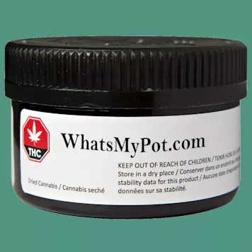 Photo of Terpene Quiz and Strain Recomendation