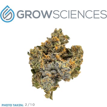 Photo of Gary Payton (3.7)