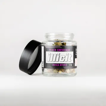 Photo of Peach Crescendo 3.5G Flower