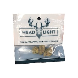 Photo of Headlight Flower