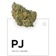 Product image for Pacific Juniper