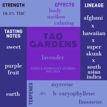 Photo of Lavender Harle-Tsu