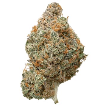 Photo of Indoor Blueberry Muffin