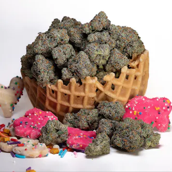 Photo of Gelato x Animal Mints