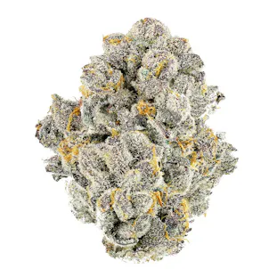 Photo of Pre-Roll - Dolato41 - 1g