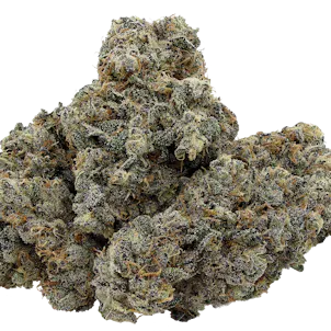 Photo of Purple Crush - 3.5g Flower - Manitoba