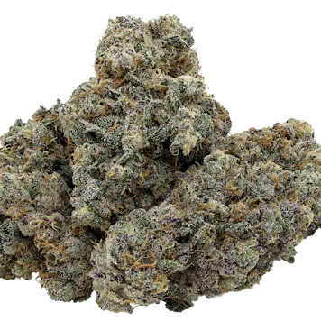 Photo of Purple Crush - 3.5g Flower - Manitoba