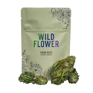 Photo of Cherry Chocolate Widow Wildflower