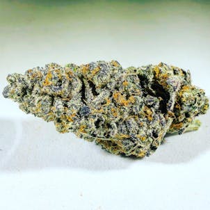 Photo of Golden Cobra