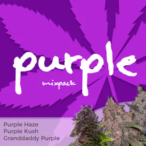 Photo of Purple Mixpack