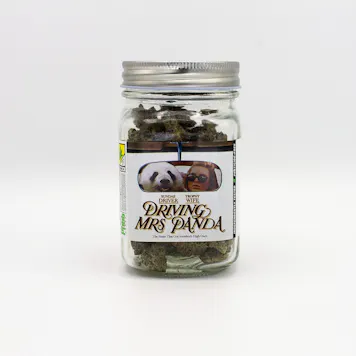 Photo of Driving Mrs. Panda - Platinum Line