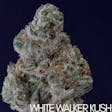 Product image for White Walker Kush by Hazy Farms