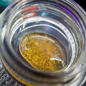 Photo of Black Lambo 70-90u Fresh Press Live Rosin