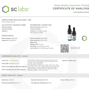Photo of Mint CBDA Tincture - 500mg