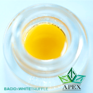 Photo of Bacio x White Truffle ( Apex x Scoopz )