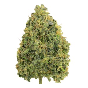 Product image for Elvis