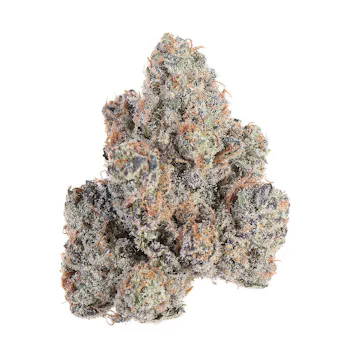 Photo of Point Break