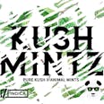 Kush Mintz