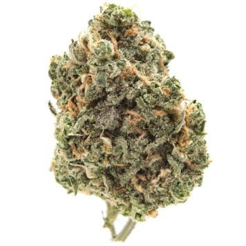 Photo of Blue Dream
