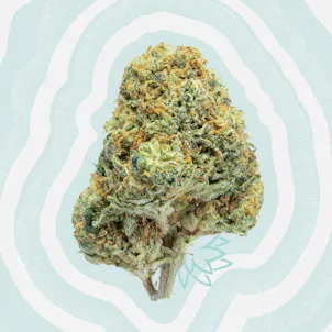 Photo of Granola Funk