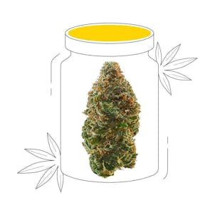 Photo of D8 Mango Kush