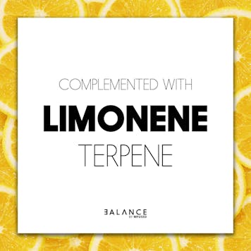 Photo of BALANCE - Lemonade 1:1 High CBD Cartridge