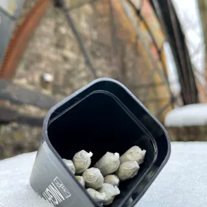 Photo of Jane West Night Pre-Roll Mini Joints 10 Pack 3.5g