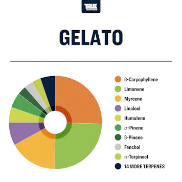 Photo of Gelato Profile Strain