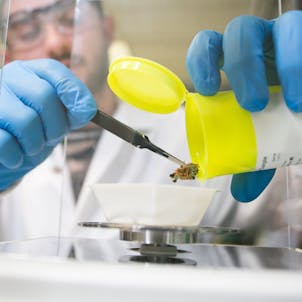 Photo of Quantitation