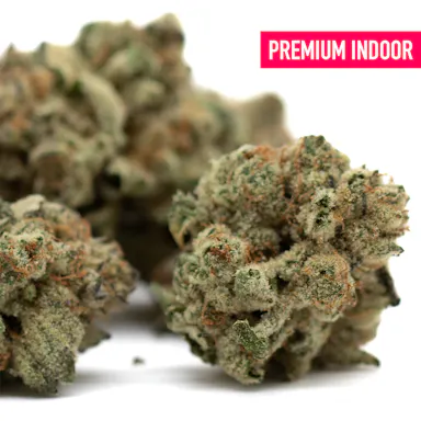 Moroccan Peaches Indoor THCa Flower Wholesale