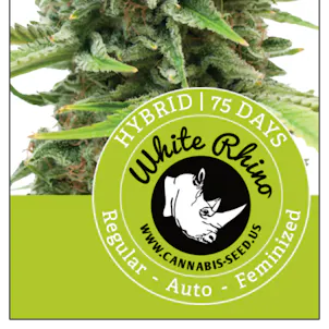 Photo of White Rhino - 100 PACK