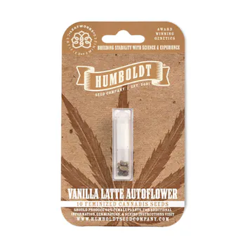 Photo of Vanilla Latte Autoflower Feminized Seeds 10-pack