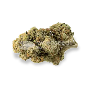 Photo of Triangle Kush Feminized Seeds