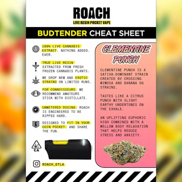 Photo of ROACH - Clementine Punch (0.36g)