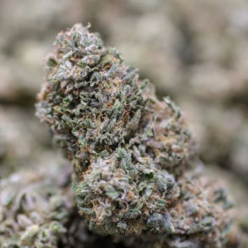 Photo of Berry Haze