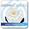 Product image for Drago x Wedding Cake Live Hash Rosin Badder (1g)