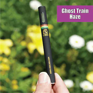 Photo of 50mg Ghost Train Haze CBD Disposable Vape Pen