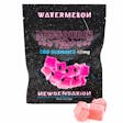 Product image for CBD Edible - Watermelon
