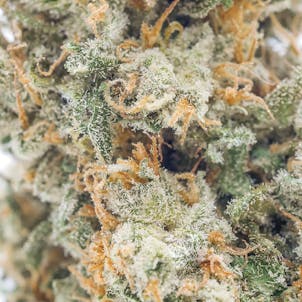 Photo of Plush Berry Flower | 3.5 g